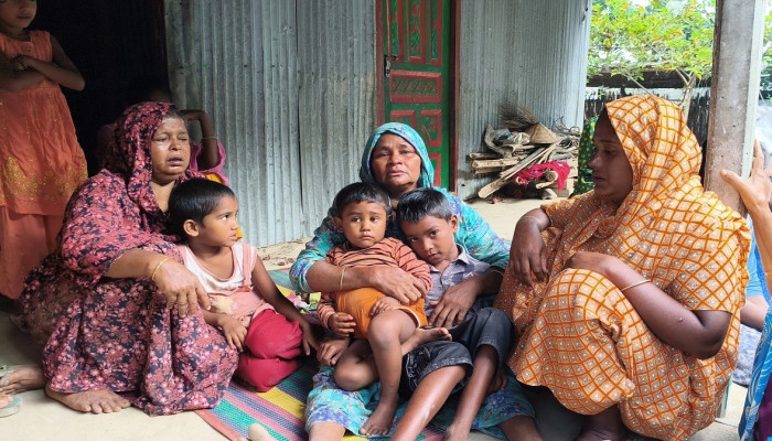 শৈলকুপায় শশুরের বটির আঘাতে গৃহবধূর মৃত্যু শৈলকুপায় শশুরের বটির আঘাতে গৃহবধূর মৃত্যু