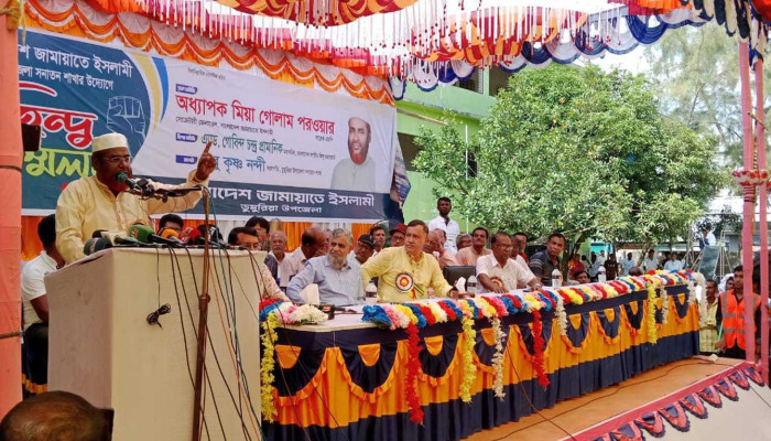 ভয় দেখিয়ে লাভ নেই হিন্দুরাও এখন দাঁড়িপাল্লার পক্ষে: গোলাম পরওয়ার ভয় দেখিয়ে লাভ নেই হিন্দুরাও এখন দাঁড়িপাল্লার পক্ষে: গোলাম পরওয়ার