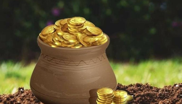 বাড়ির বাগানে মাটি খুঁড়তে গিয়ে মিলল ৯ কোটি টাকার সোনা