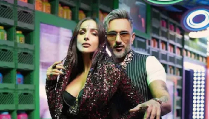 মালাইকার অশালীন নাচে বিপাকে হানি সিং