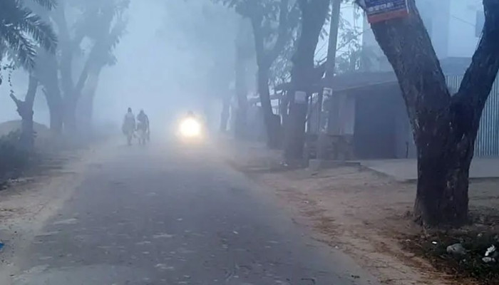 পঞ্চগড়ের জেঁকে বসেছে শীত, সর্বনিম্ন তাপমাত্রা কত?