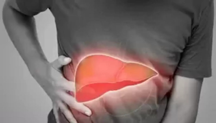 লিভারের ক্ষতি হলে ত্বকই দেয় প্রথম সংকেত! এই ৪ লক্ষণ এড়িয়ে যাবেন না