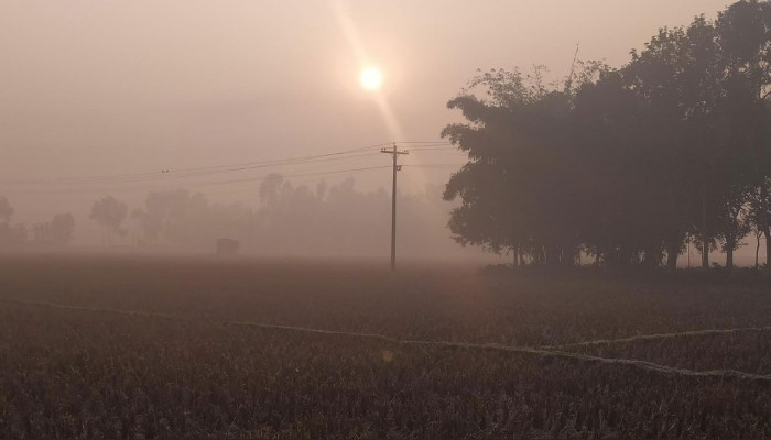 পঞ্চগড়ে মৌসুমের সর্বনিম্ন তাপমাত্রা, জনজীবনে স্থবিরতা