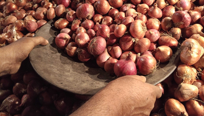 আমদানির অনুমতিতেই দাম কমছে পেঁয়াজের, দাবি কৃষি উপদেষ্টার