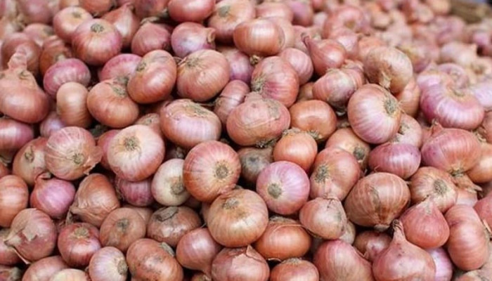 কেজিতে ৪০ টাকা কমলো পেঁয়াজের দাম