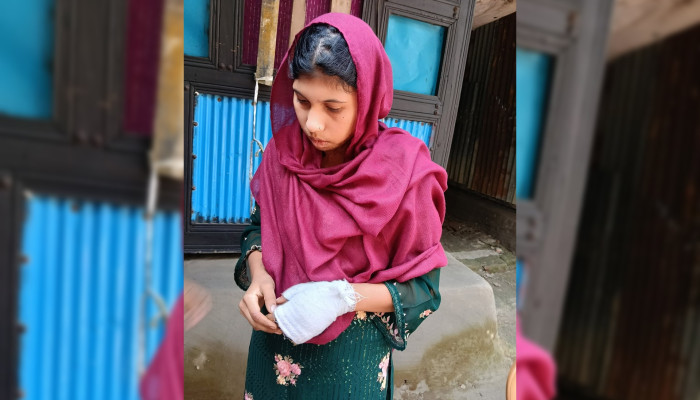 গৃহকর্মী গ্রেফতার, জানা গেল মা-মেয়েকে হত্যার কারণ