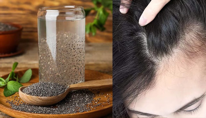 মাথায় নতুন চুল গজাতে পারে চিয়া সিড খেলে