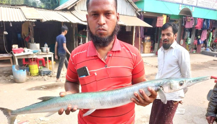 পুকুরে ধরা পড়ল ৮ কেজি ওজনের কাকিলা মাছ