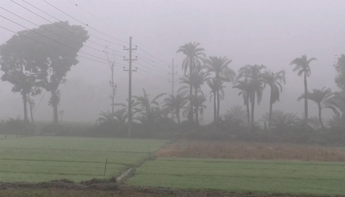 চুয়াডাঙ্গায় তাপমাত্রা নেমেছে ৮ ডিগ্রিতে, দুর্ভোগে জনজীবন
