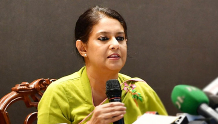 দায়িত্ব ছাড়ার পর জবাবদিহিতা দিতে সমস্যা নেই : উপদেষ্টা রিজওয়ানা