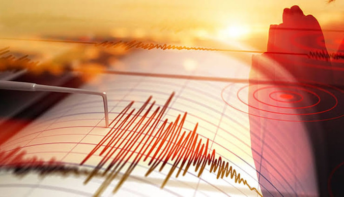 ভয়াবহ ভূমিকম্পে কাঁপল দেশ