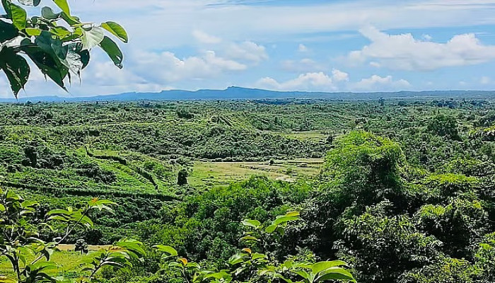 নাইক্ষ্যংছড়ি সীমান্তে মাইন বিস্ফোরণ, বাঁ পা উড়ে গেল বাংলাদেশি কাঠুরিয়ার