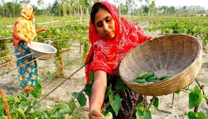 আন্তর্জাতিক নারী দিবস আজ