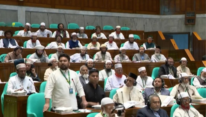 ফ্যাসিস্ট বা তার দোসর যাতে বক্তব্য দিয়ে সংসদকে কলুষিত করতে না পারে: নাহিদ ইসলাম