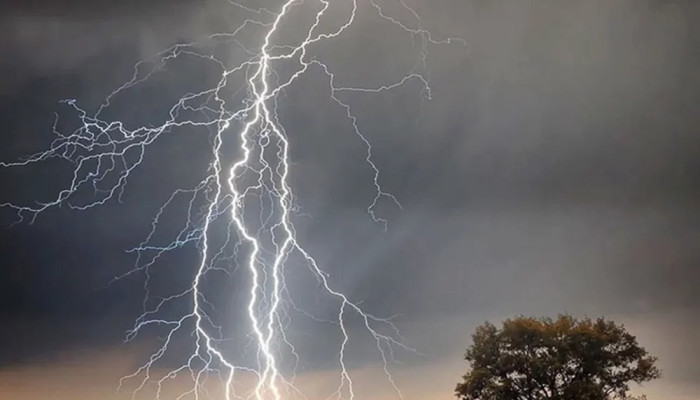 নেত্রকোণায় বজ্রপাতে ২ জনের মৃত্যু