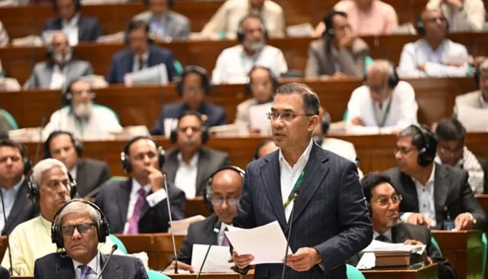 প্রধানমন্ত্রীর অনুপস্থিতিতে সংসদের দায়িত্বে দুই মন্ত্রী