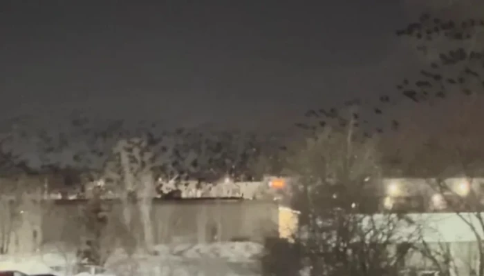 তেল আবিবের আকাশে উড়ছে হাজার হাজার কাক, ‘মহাপ্রলয়ের ইঙ্গিত’ ভাবনায় আতঙ্কে ইসরায়েলিরা