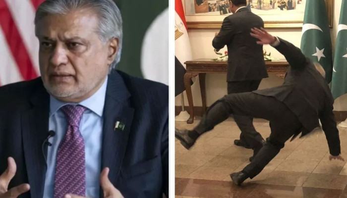 মিসরের পররাষ্ট্রমন্ত্রীকে স্বাগত জানাতে গিয়ে পা পিছলে পড়ে আহত ইসহাক দার