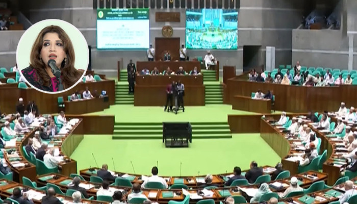 বর্তমানে বাংলাদেশে কোনো জ্বালানি সংকট নেই: পররাষ্ট্র প্রতিমন্ত্রী