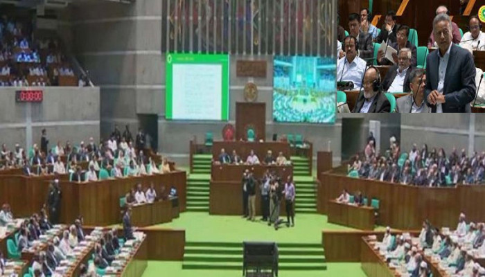 সংসদে শীর্ষ ২০ ঋণ খেলাপি প্রতিষ্ঠানের তালিকা প্রকাশ