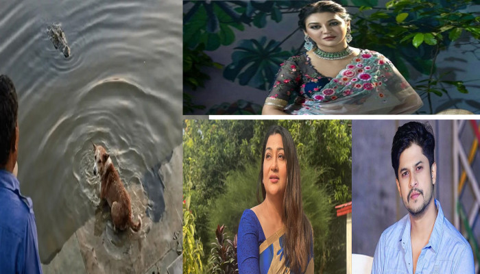 বাগেরহাটের হজরত খানজাহান (রহ.)-এর মাজারের দিঘিতে