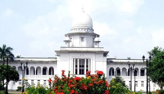 জুলাই আন্দোলনে অংশ নেয়া ২০৮ প্রবাসীকে ২৫ লাখ টাকা করে ক্ষতিপূরণ দিতে রুল