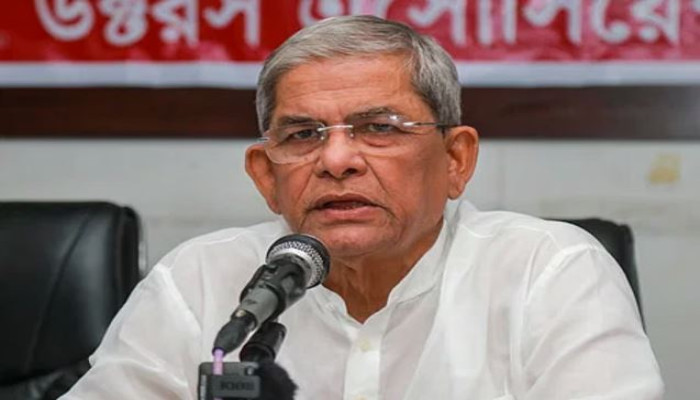 এক বছরের মধ্যেই স্থানীয় সরকার নির্বাচন হবে: মির্জা ফখরুল