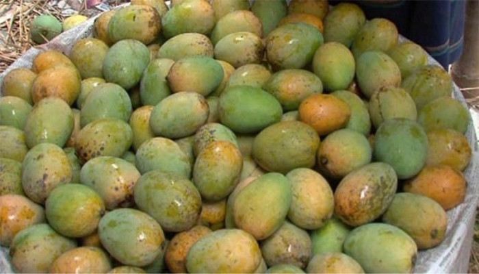 ভালো আম চিনবেন কীভাবে