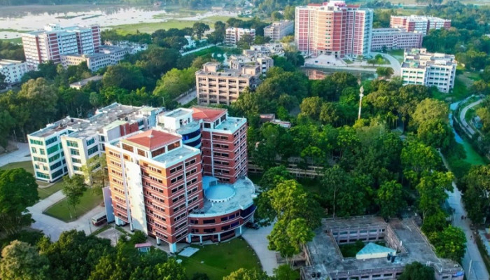 ক্যানসারের জন্য বিশ্ববিদ্যালয়ের শিক্ষকতা ছেড়েছিলেন নাসরিন, মারা গেলেন হজে গিয়ে
