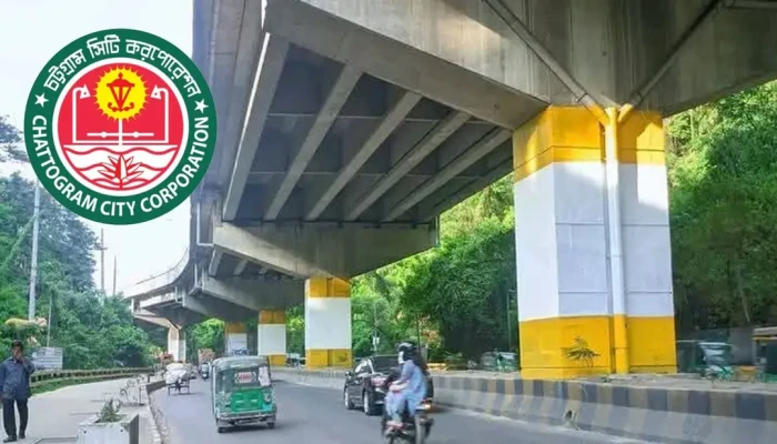 জুলাইয়ের গ্রাফিতি অপসারণে মেয়রের কোনো নির্দেশনা নেই : চসিক