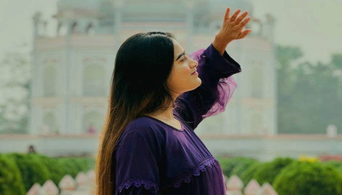 চুলের স্বাভাবিক কালো রং ফিরিয়ে আনতে ৫ টিপস