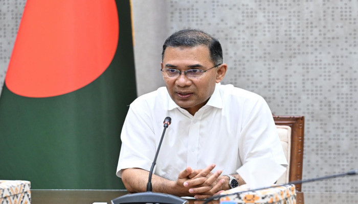সবুজ বাংলাদেশ গড়তে মেগা পরিকল্পনার কথা জানালেন প্রধানমন্ত্রী