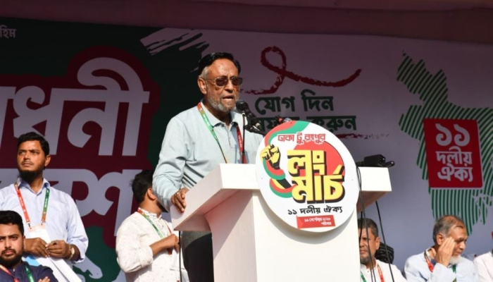 এ সরকার বিএনপির সরকার না, হাসিনার সরকার: কর্নেল অলি