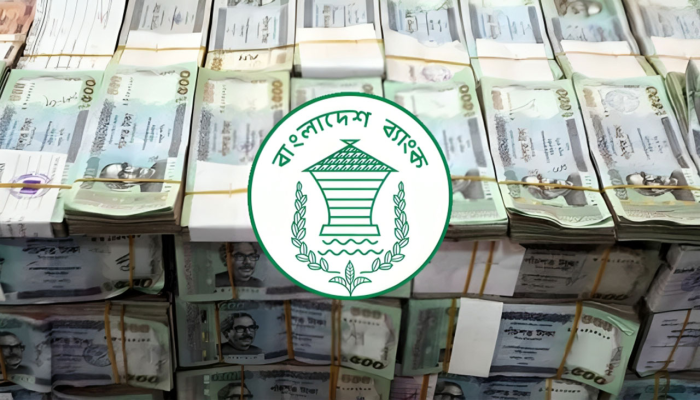 ১৯ দিনে এলো ২৩ হাজার কোটি টাকার রেমিট্যান্স