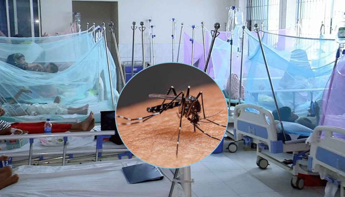 ডেঙ্গুতে আরও ৫ মৃত্যু, হাসপাতালে ভর্তির রেকর্ড