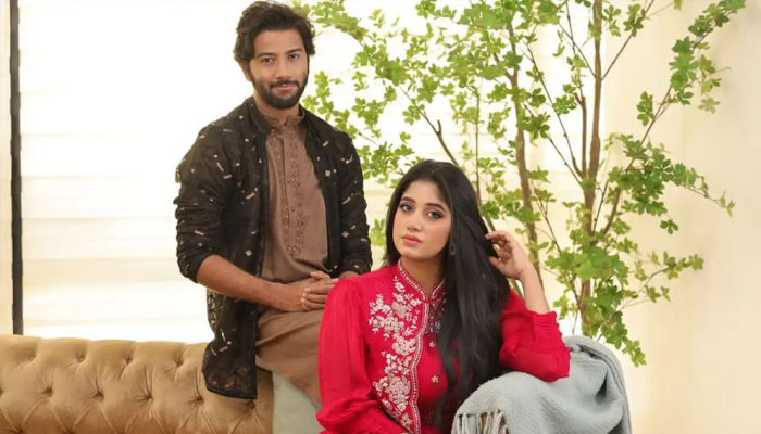 বিবাহবিচ্ছেদের সিদ্ধান্ত প্রীতম-শেহতাজের