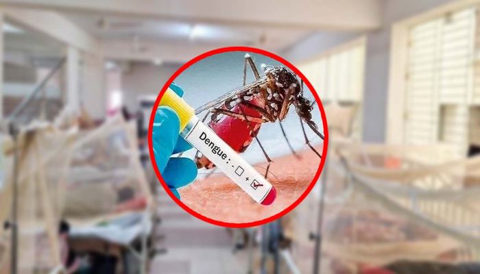 ডেঙ্গুতে একদিনে সর্বোচ্চ ১০ জনের মৃত্যু 
