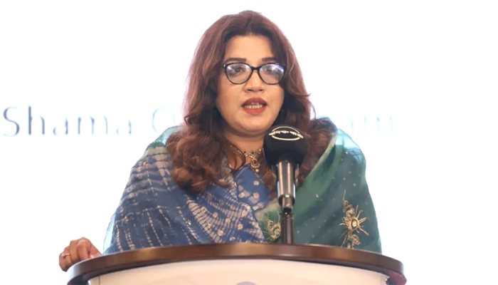 রোহিঙ্গারা অধিকার চায়, দান নয়: পররাষ্ট্র প্রতিমন্ত্রী