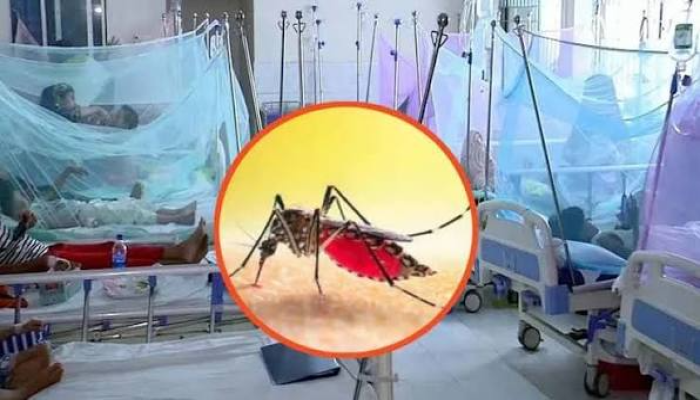 ডেঙ্গুতে মৃত্যু ৩০০ ছাড়াল, আক্রান্ত লাখ ছুঁইছুঁই