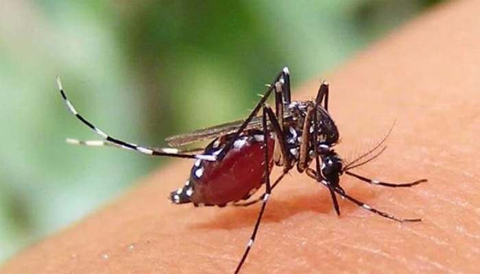 ডেঙ্গু শনাক্ত লাখ ছাড়াল, ২৪ ঘণ্টায় ২১৬৭