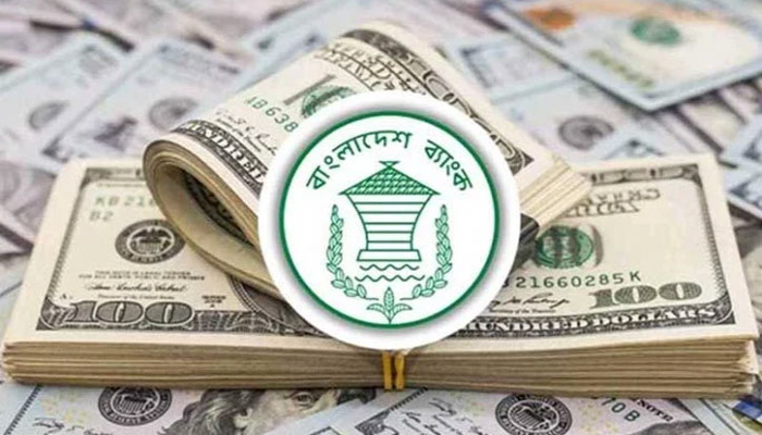 ১২ দিনে এলো ১৫ হাজার ৮৬৭ কোটি টাকার প্রবাসী আয়