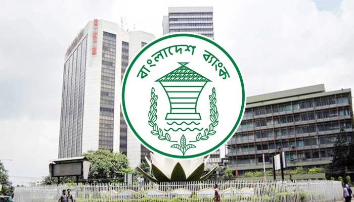সাইবার ঝুঁকিতে বন্ধের পর চালু বাংলাদেশ ব্যাংকের ওয়েবসাইট  